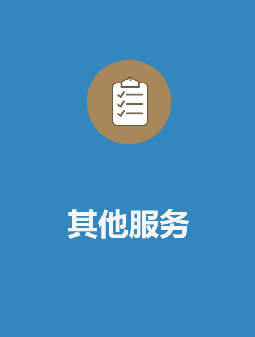 其他服务