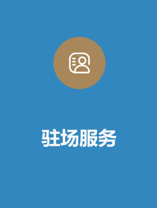 驻场服务